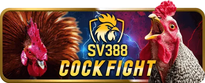 Tầm nhìn god66